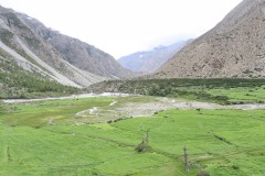 halji-village